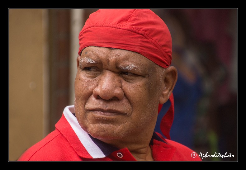 Columbia portraits 29